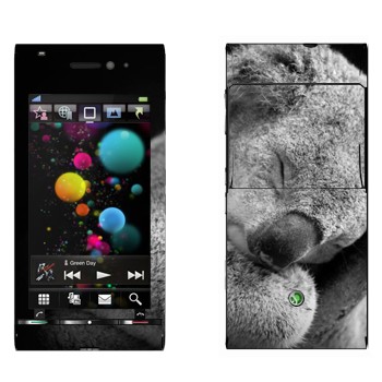   « »   Sony Ericsson U1 Satio