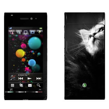   « -»   Sony Ericsson U1 Satio