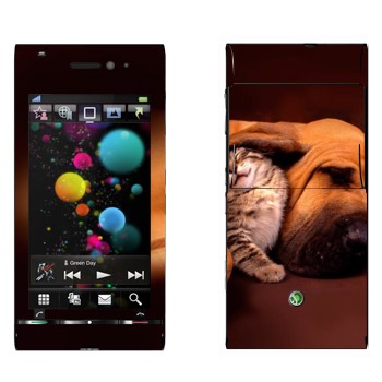   «  »   Sony Ericsson U1 Satio