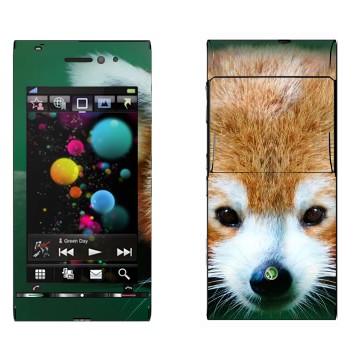   « »   Sony Ericsson U1 Satio