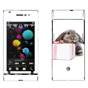   «  »   Sony Ericsson U1 Satio