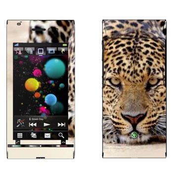   « »   Sony Ericsson U1 Satio