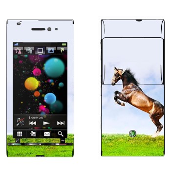   «    »   Sony Ericsson U1 Satio