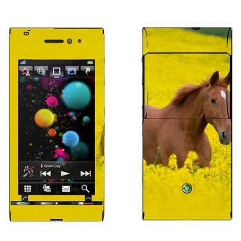   «  »   Sony Ericsson U1 Satio