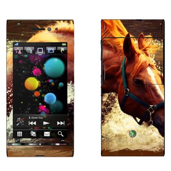   «  »   Sony Ericsson U1 Satio