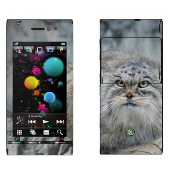   «»   Sony Ericsson U1 Satio