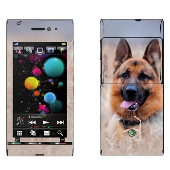   «  »   Sony Ericsson U1 Satio