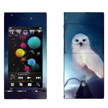   «  »   Sony Ericsson U1 Satio