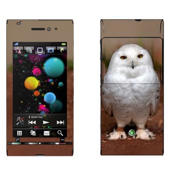   « »   Sony Ericsson U1 Satio