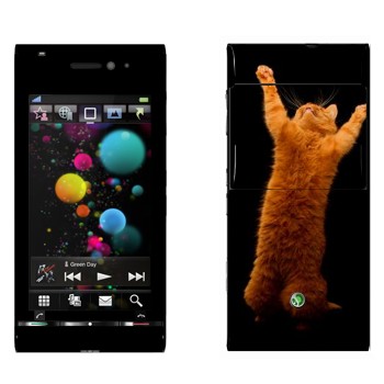   «     »   Sony Ericsson U1 Satio