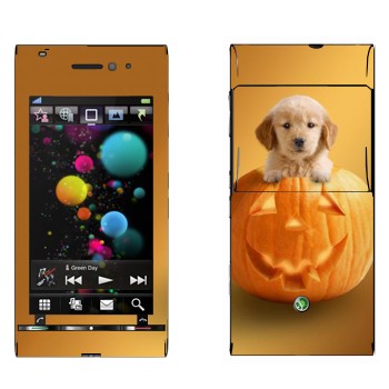   «  »   Sony Ericsson U1 Satio