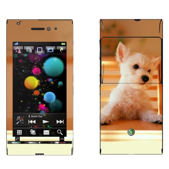   «  »   Sony Ericsson U1 Satio