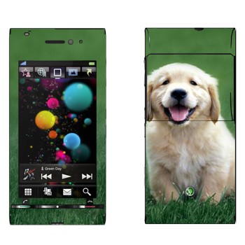   «  »   Sony Ericsson U1 Satio