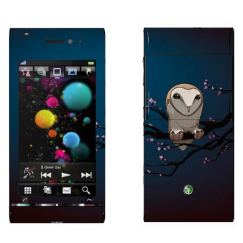   «  »   Sony Ericsson U1 Satio