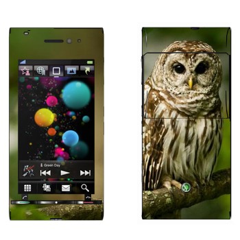   «  »   Sony Ericsson U1 Satio