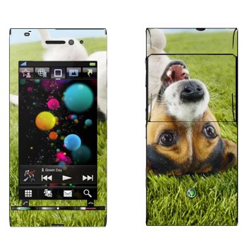   «   »   Sony Ericsson U1 Satio