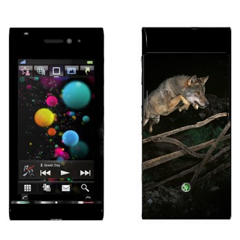   «  »   Sony Ericsson U1 Satio