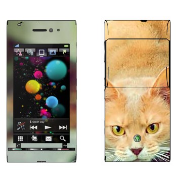   «  »   Sony Ericsson U1 Satio