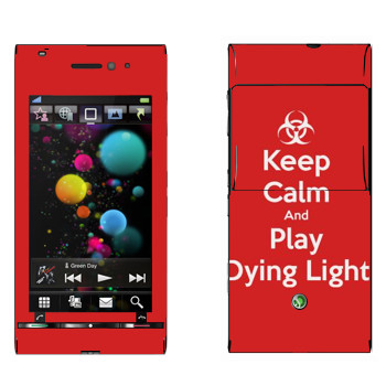   «Keep calm and Play Dying Light»   Sony Ericsson U1 Satio