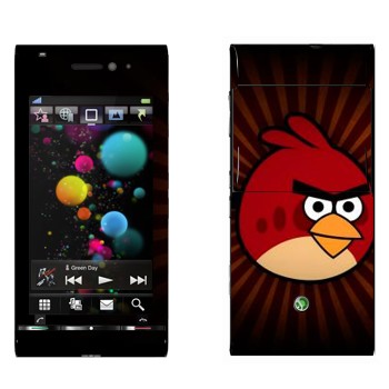   « - Angry Birds»   Sony Ericsson U1 Satio