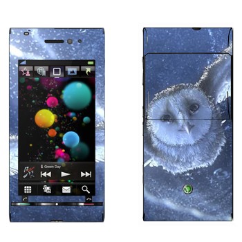   «  »   Sony Ericsson U1 Satio