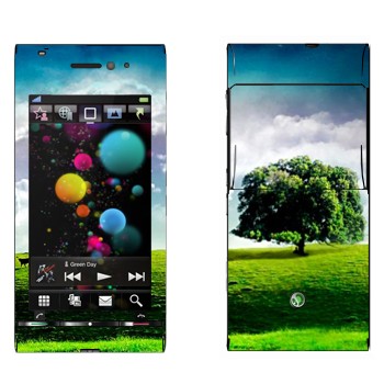 Sony Ericsson U1 Satio