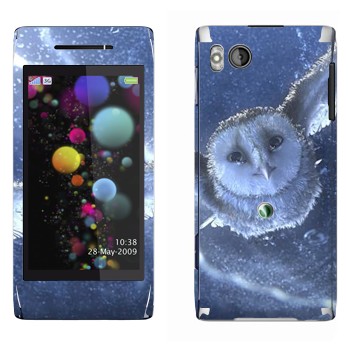   «  »   Sony Ericsson U10 Aino