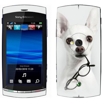 Sony Ericsson U5 Vivaz