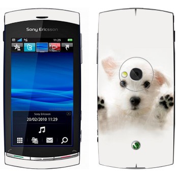 Sony Ericsson U5 Vivaz