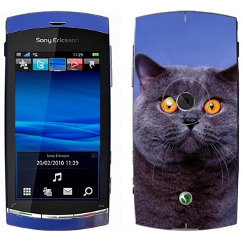   «-»   Sony Ericsson U5 Vivaz