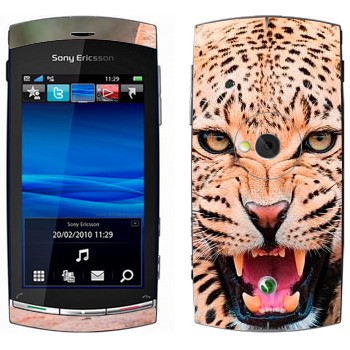 Sony Ericsson U5 Vivaz