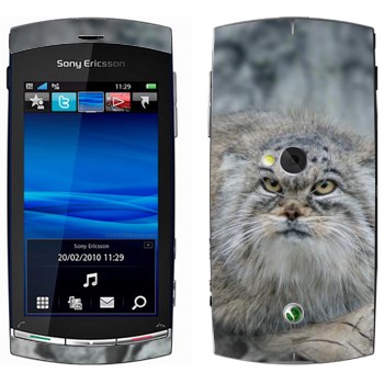   «»   Sony Ericsson U5 Vivaz