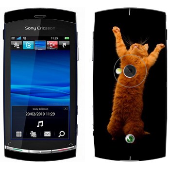 Sony Ericsson U5 Vivaz