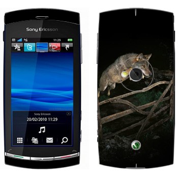   «  »   Sony Ericsson U5 Vivaz