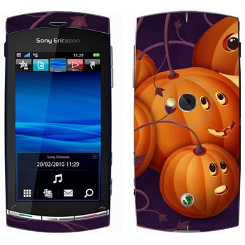   «  - »   Sony Ericsson U5 Vivaz