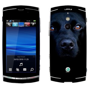   « »   Sony Ericsson U8 Vivaz Pro