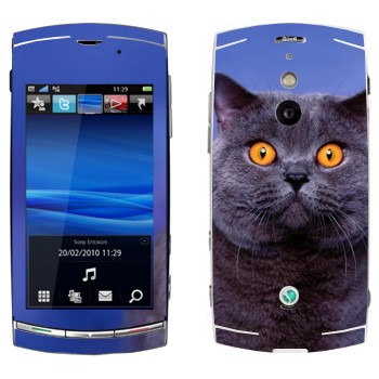   «-»   Sony Ericsson U8 Vivaz Pro