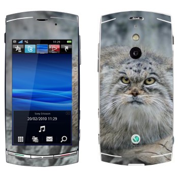   «»   Sony Ericsson U8 Vivaz Pro