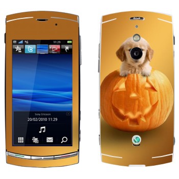   «  »   Sony Ericsson U8 Vivaz Pro