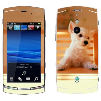   «  »   Sony Ericsson U8 Vivaz Pro