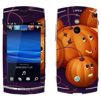   «  - »   Sony Ericsson U8 Vivaz Pro