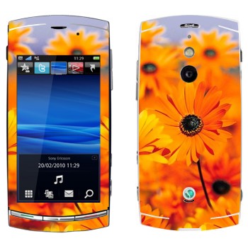   «  »   Sony Ericsson U8 Vivaz Pro