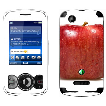   « »   Sony Ericsson W100 Spiro