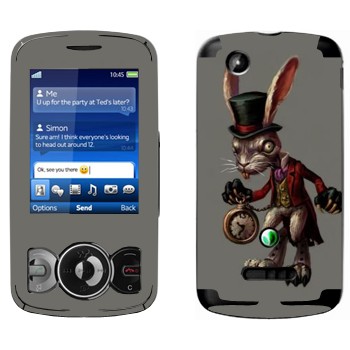   «  -  : »   Sony Ericsson W100 Spiro