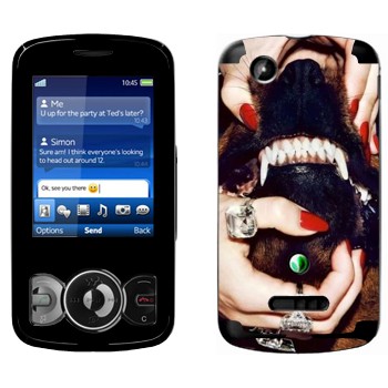 Sony Ericsson W100 Spiro