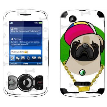   « - SWAG»   Sony Ericsson W100 Spiro