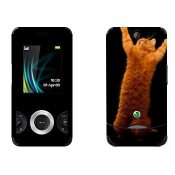   «     »   Sony Ericsson W205 Walkman