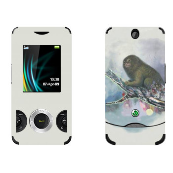   «   - Kisung»   Sony Ericsson W205 Walkman