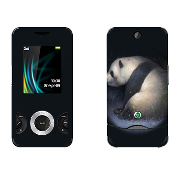   «»   Sony Ericsson W205 Walkman