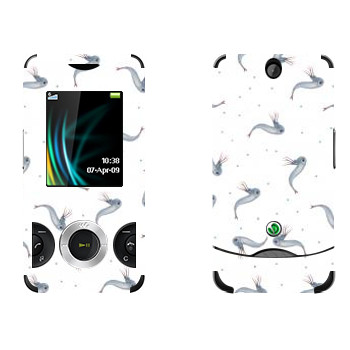   « - Kisung»   Sony Ericsson W205 Walkman